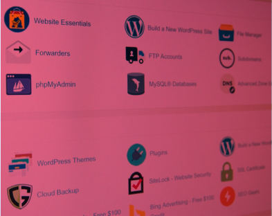 Agency Delivery Work